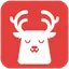 aichristmasphoto.com