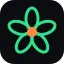 attribloom.com
