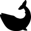baywhales.org