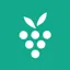 berrycast.com