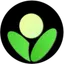 betula.ai