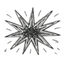 blastra.io