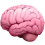 brainrotjs.com