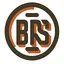 brisbanesilicon.com.au