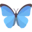 bskycopilot.com