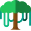 canopyapi.co
