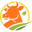 cattly.io
