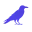 clevercrow.io