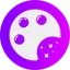 coloringwhiz.com