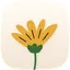 cozyjournal.app