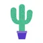 getlasso.co
