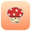 getmushroom.app