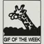 gifoftheweek.com