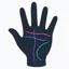 handreaderai.com