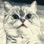 lokimax.dev