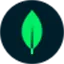 mongodb.com