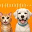 mydogtranslator.com