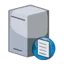 netint.xyz