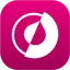 olvy.co