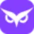 owlity.ai