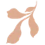 patternisse.com
