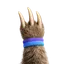 pawvis.app