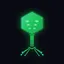 phage-explorer.org