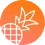 pineapplebuilder.com