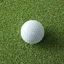 puttdojo.com