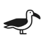 rkpg.net