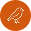 robynn.ai