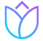 youex.ai